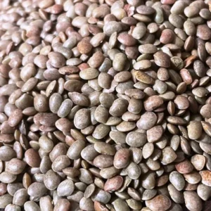 horse gram (kulthi)