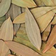 bay leaf (tej patta)