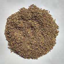 cumin seeds (jeera)
