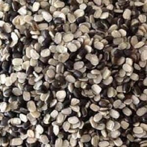 urad dal (black gram)