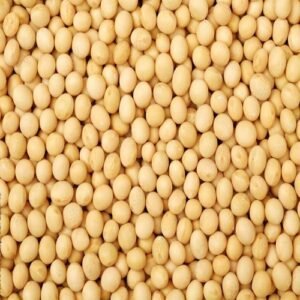 dry yellow peas
